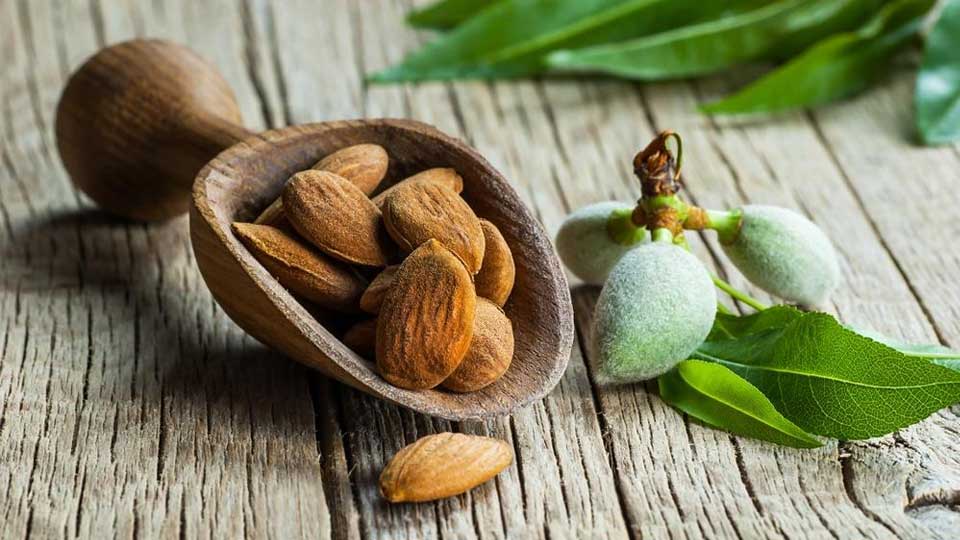 لاغری سریع با مصرف بادام