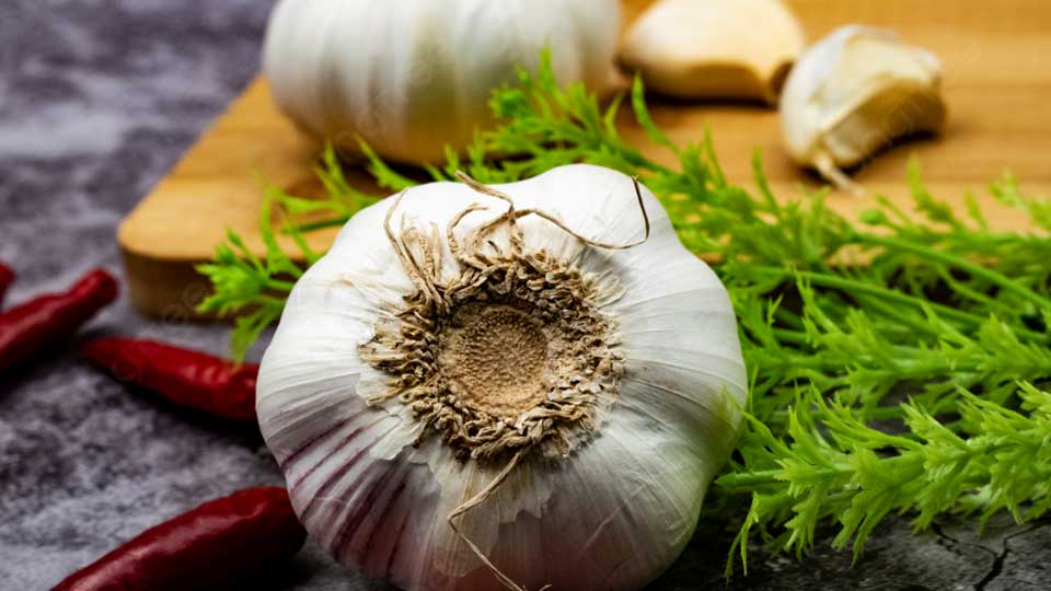 چگونه با خوردن سیر لاغر شویم؟
