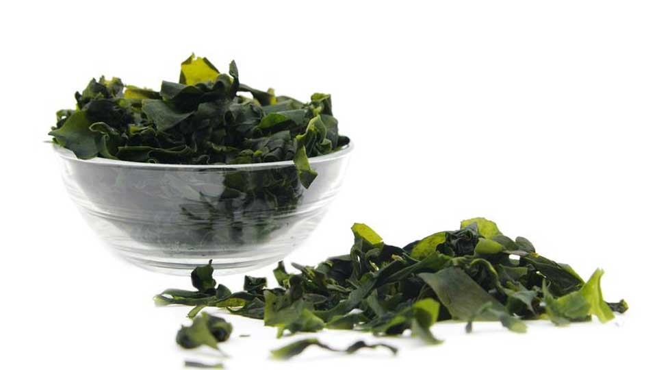 تاثیر جلبک دریایی در رژیم لاغری