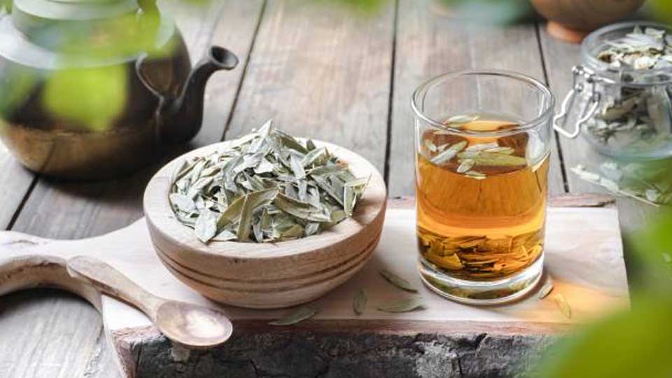 نحوه مصرف برگ سنا برای لاغری